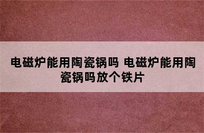 电磁炉能用陶瓷锅吗 电磁炉能用陶瓷锅吗放个铁片